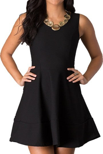 Party Perfect: Juniors Sleeveless Dress with Zipper Back